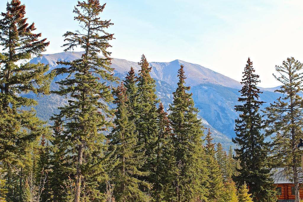 Luxury Canmore Vacations Exterior foto